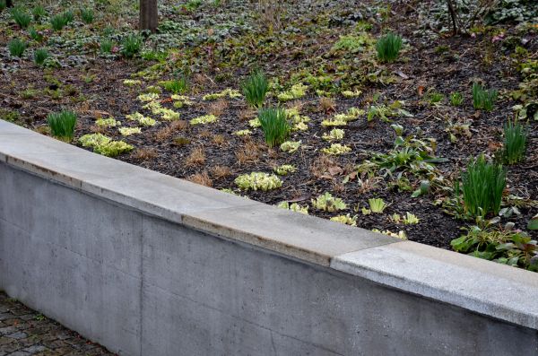 Cost of Concrete Wall Construction in Pleasant Grove