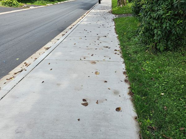 Cost of Sidewalk Renovation in Pleasant Grove