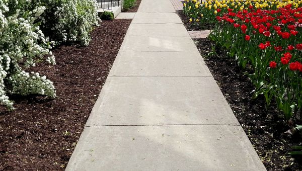 Cost of Cement Sidewalk Installation in Pleasant Grove
