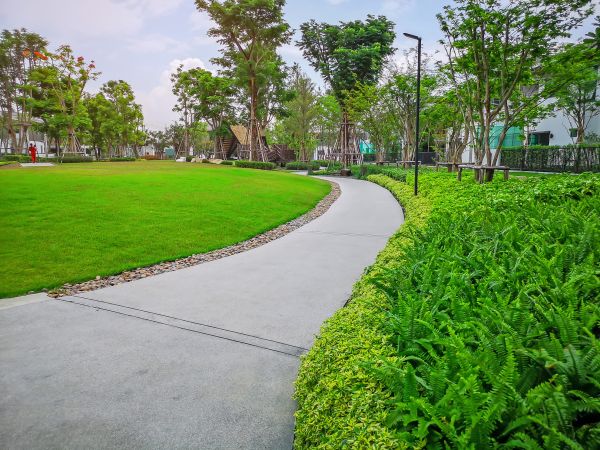 Cost of Cement Walkway Service in Pleasant Grove