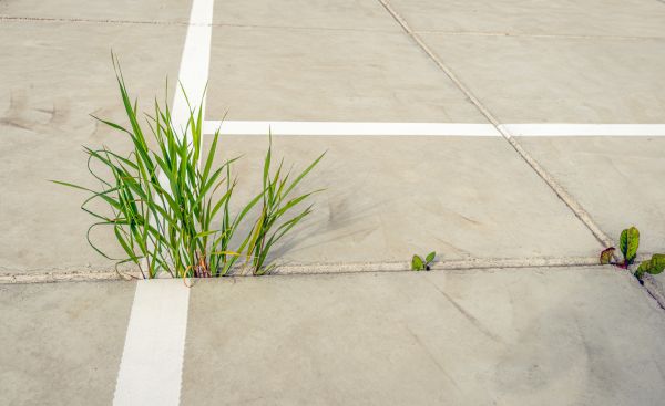 Cost of Concrete Parking Installation in Pleasant Grove